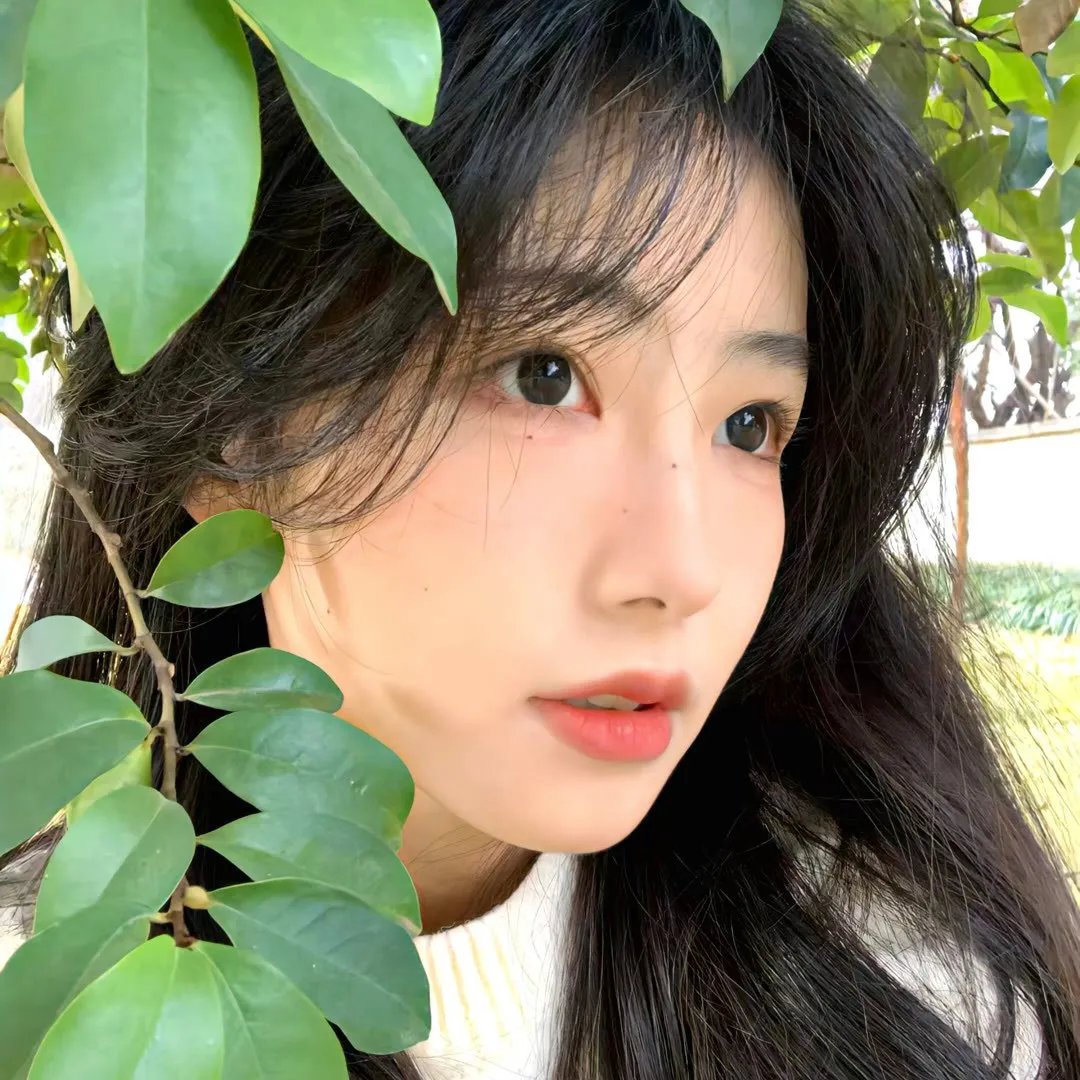暹罗女王海报